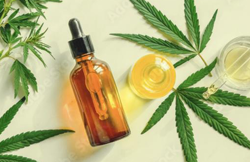 Cannabis