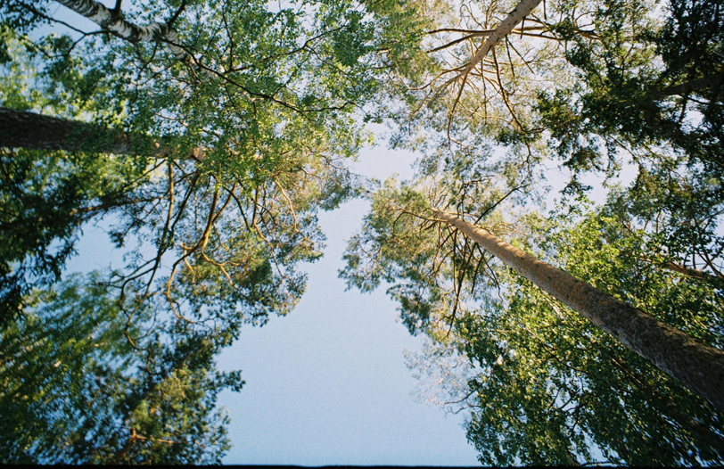 natural-resources