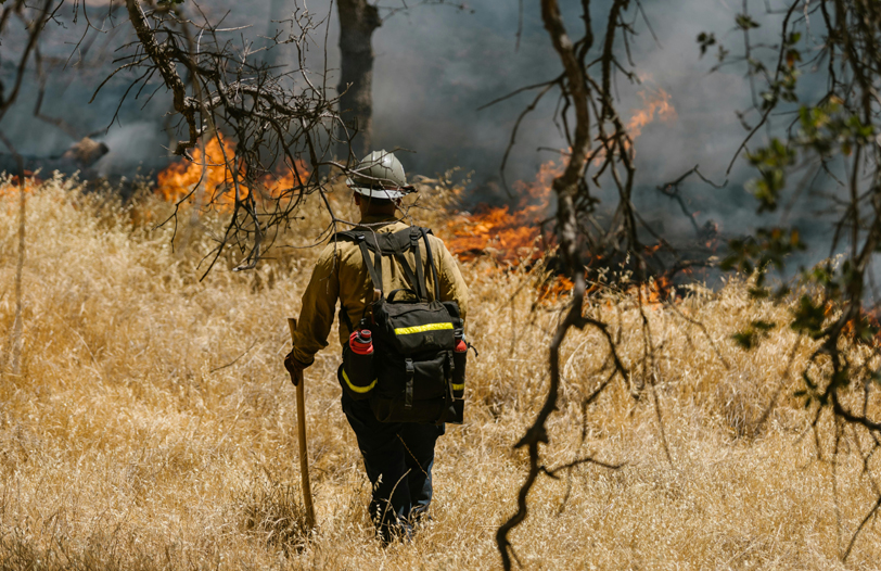 Wildfire Defense Services