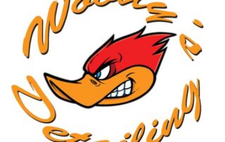 Woody’s Detailing and Auto Service
